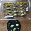 多肉植物を「葉挿し」で増やす!(パート1)