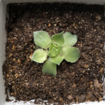 Thumbnail of post image 200