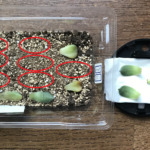 Thumbnail of post image 178
