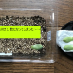 Thumbnail of post image 110